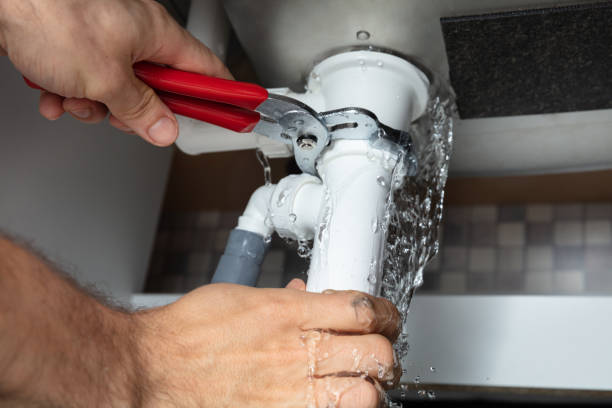 Best Water damage restoration specialists  in St Peter, MN