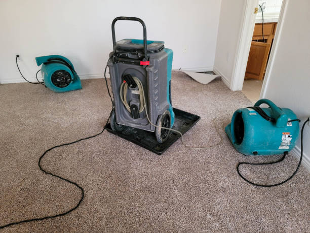 Sewage cleanup and water damage restoration in St Peter, MN