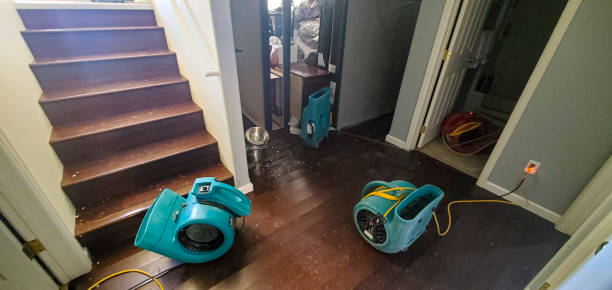 Best Residential water damage restoration  in St Peter, MN