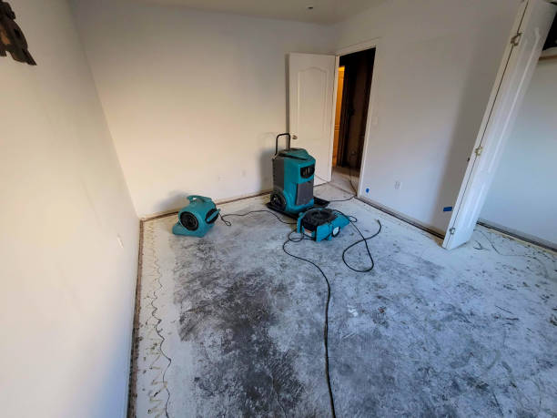 Best Water damage restoration mold remediation  in St Peter, MN