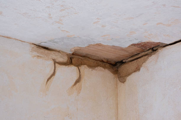Best Ceiling water damage repair  in St Peter, MN