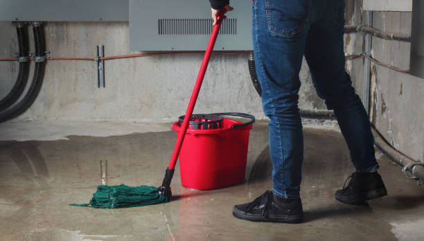 Best Flood damage cleanup  in St Peter, MN