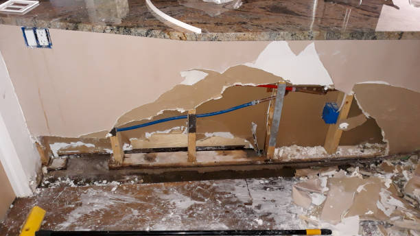 Best Local water damage restoration  in St Peter, MN
