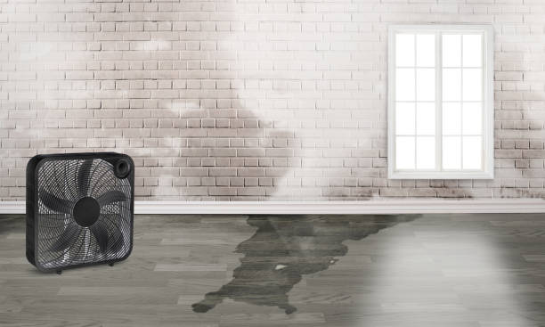 Professional Water damage restoration in St Peter, MN