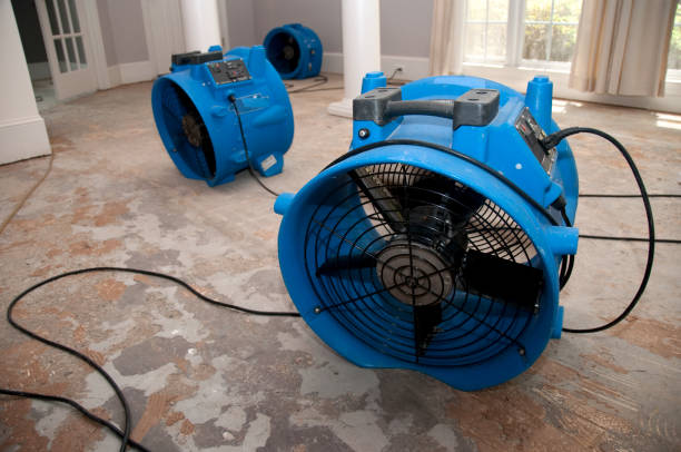 Best Flood damage cleanup  in St Peter, MN