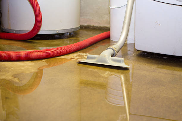Best Sewage cleanup and water damage restoration  in St Peter, MN