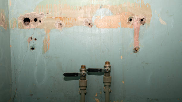  St Peter, MN Water damage restoration Pros
