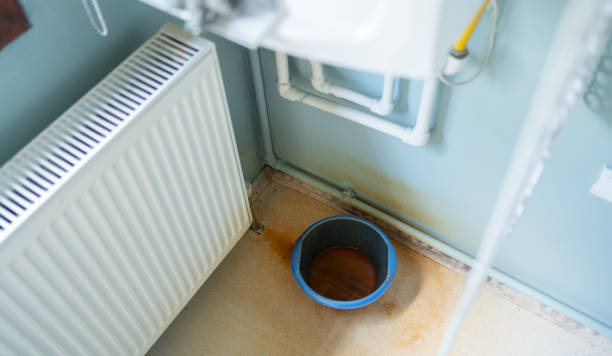 Best Residential water damage restoration  in St Peter, MN
