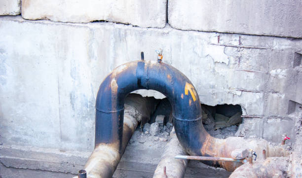 Best Water damage cleanup near me  in St Peter, MN