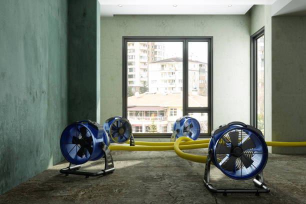 Best Water damage restoration process  in St Peter, MN